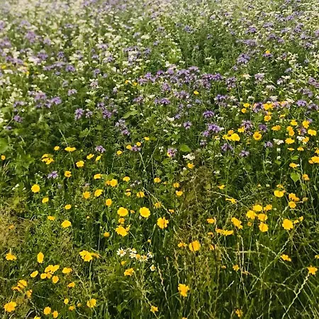 Penzion Hausamhafen Bremerhaven Geestland 3*