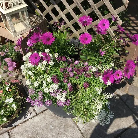 Hausamhafen Bremerhaven Geestland Penzion Langen (Cuxhaven)